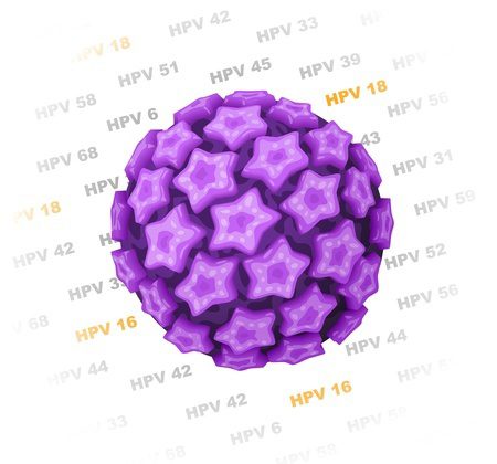 hpv