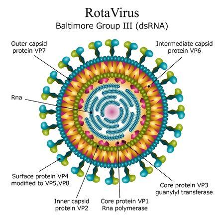 rotavirüs