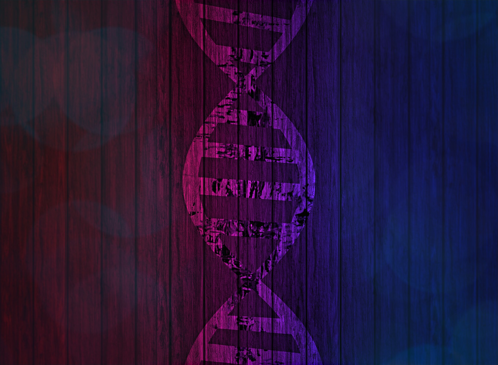 dna